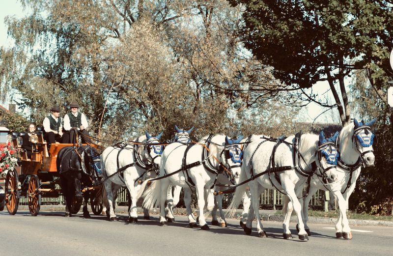 Hochzeitsauto Bielefeld Oldtimer Kutsche Mieten Fur Ihre